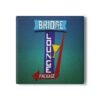 Bridge Lounge neon sign artwork from Florida