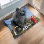 Dog Bark Park Cottonwood Idaho Sleep inside a giant beagle pet bed