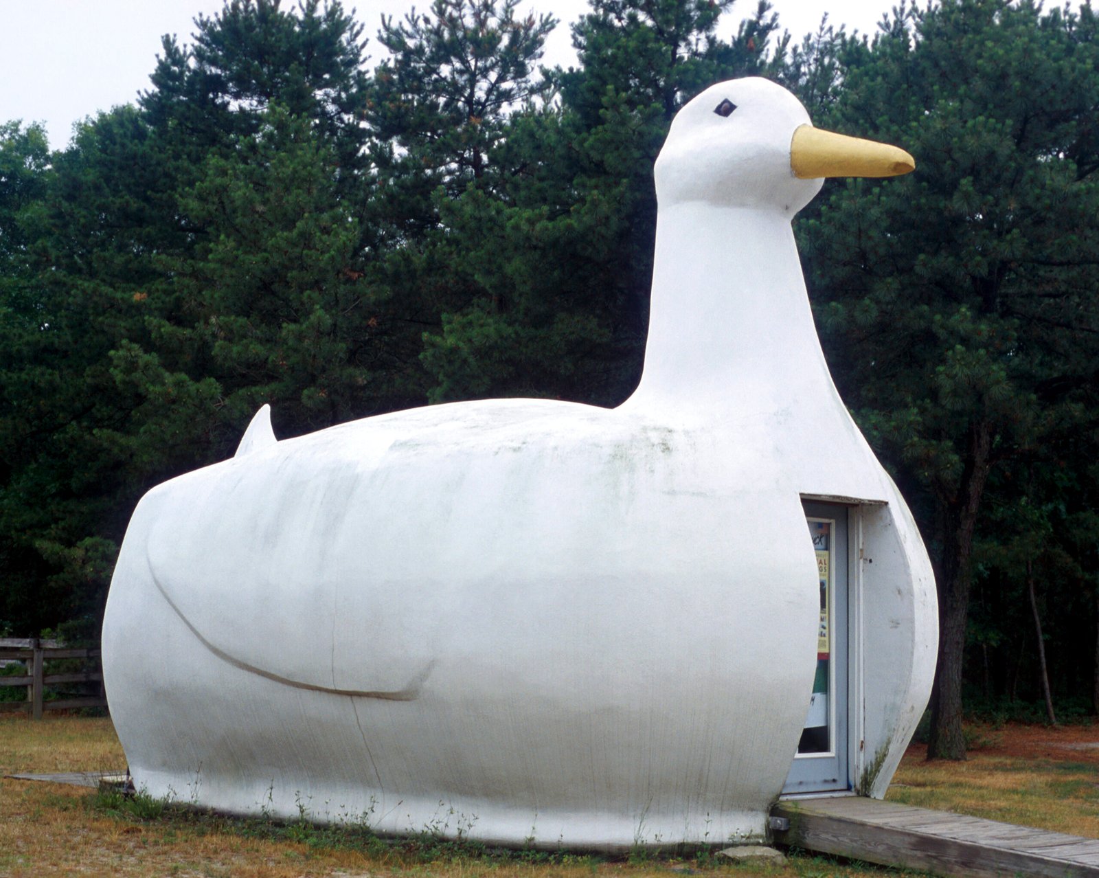 The Big Duck building shaped like a duck located in Flanders, New York.